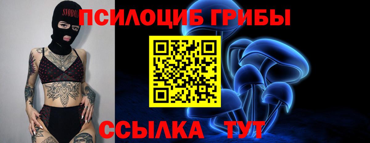 Псилоцибиновые грибы MAGIC MUSHROOMS Менделеевск